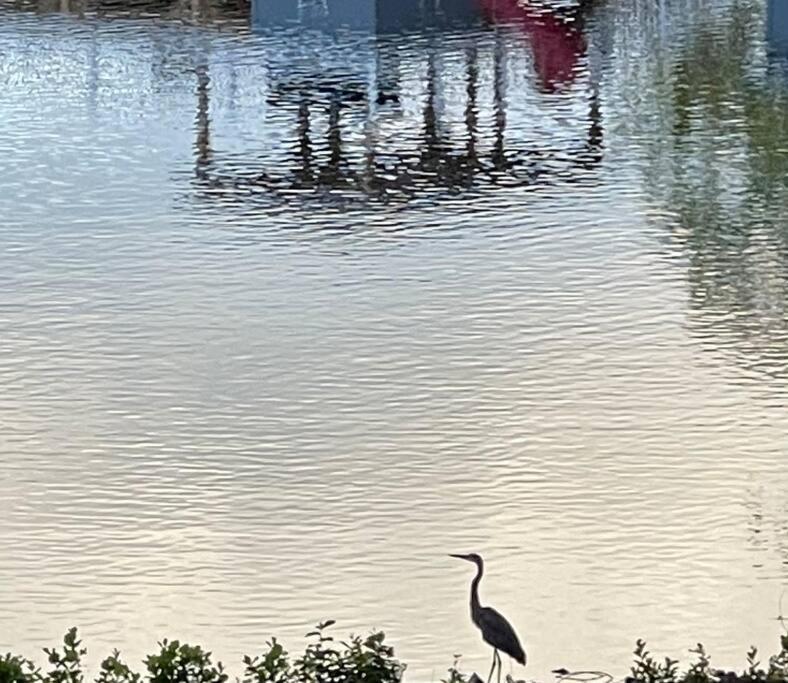 Eagle'S Nest Cottage - Lake Anna Waterfront Bumpass Bagian luar foto
